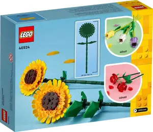 LEGO 40524 SAULĖGRĄŽOS