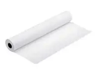 EPSON S042003 Semimatte proofing paper white inkjet 256g/m2 330mm x 30.5m 1 roll 1-pack