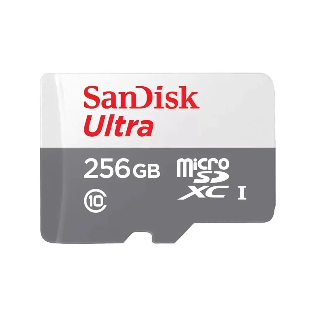 "SanDisk Ultra microSDXC" 256GB 100MB/s 10 klasės UHS-I; EAN:619659196516