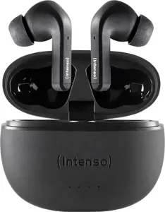 AUSINĖS T302A/BALTOS 3720300 INTENSO