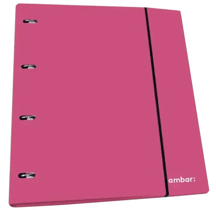 A4 Ringbinder 4R Ref+Div Ambar school