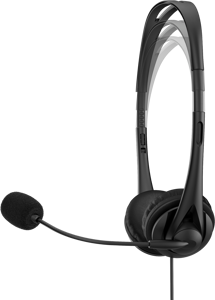 HP USB G2 STHS ausinės