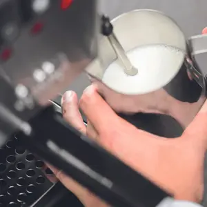 Kavos aparatas Gaggia RI9481/11, 2,1 litrai, Sidabrinė, Automatic