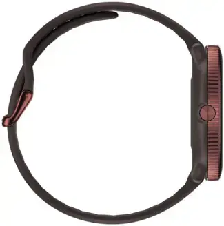 Polar Ignite 3 S-L, rudas varis