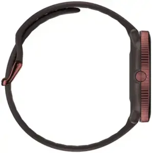 Polar Ignite 3 S-L, rudas varis