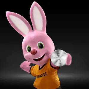 Baterijos DURACELL 2025, 2vnt.