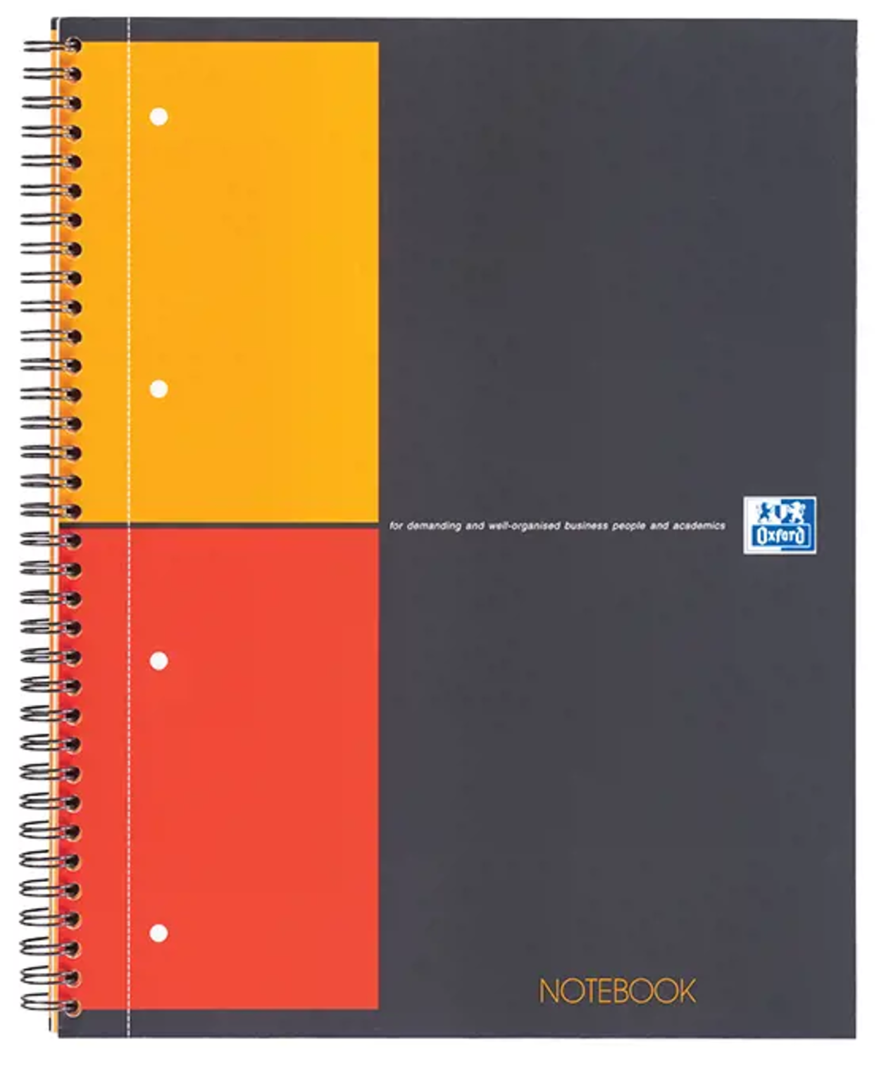 Sąsiuvinis su spirale OXFORD INTERNATIONAL NOTEBOOK, A4+, 80 lapų, langeliais