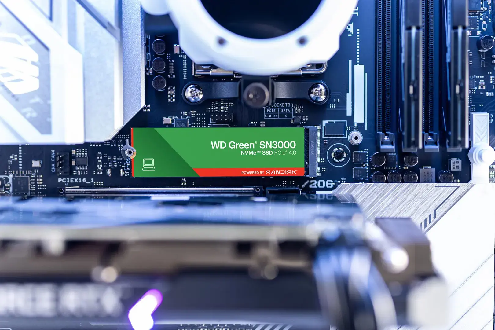 Western Digital Green WD ™ SN3000 NVMe™ SSD POWERED BY SANDISK 2 TB