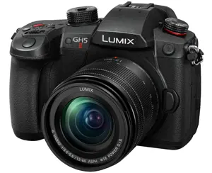 Panasonic DC-GH5 mark II + 12-60mm