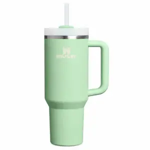 STANLEY thermal cup Quencher H2.O FlowState 1.18 l pistachio
