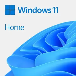 "Microsoft Windows 11 Home", 1 licencija (-os), 64 GB, 4096 GB, 1000 GHz, lenkų kalba, DVD