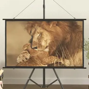 Projektoriaus ekranas, 50", 16:9