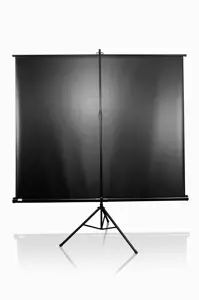 "Elite Screens" ekranų trikojo serijos T119UWS1 įstrižainė 119 ", 1:1, matomas ekrano plotis (W) 213 cm, juoda