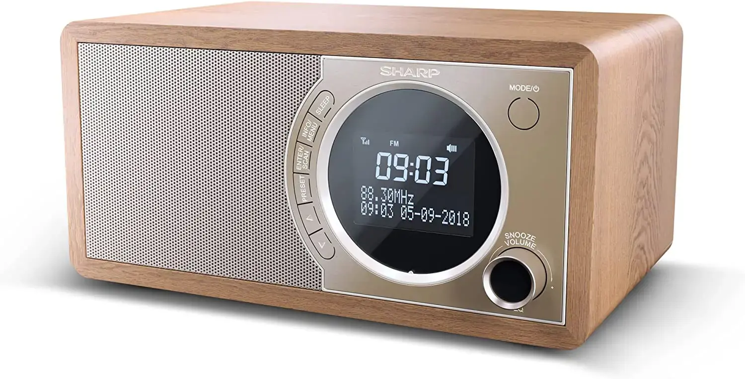 Sharp DR-450, asmeninis, skaitmeninis, DAB, DAB+, FM, 87,5 - 108 MHz, 174,928 - 239,2 MHz, 3 W