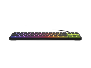 Genesis Thor 430 TKL | Gaming Keyboard | Wired | US | Linear | Black