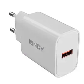 Lindy 73412, vidaus, lauko, kintamosios srovės, 12 V, baltas