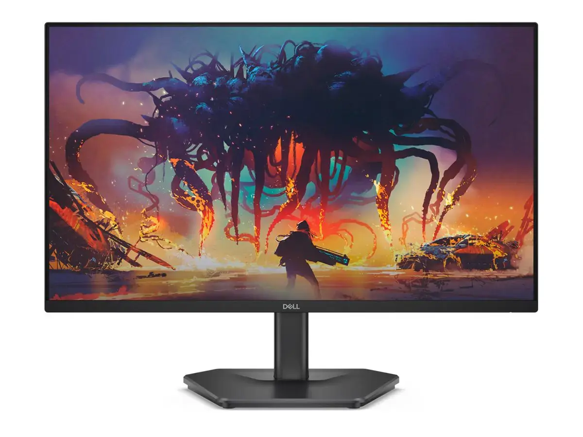 Dell 24 200Hz Monitor - SE2425HG