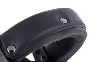 Beyerdynamic DT 770 Pro Black Limited Edition - uždaros studijinės ausinės
