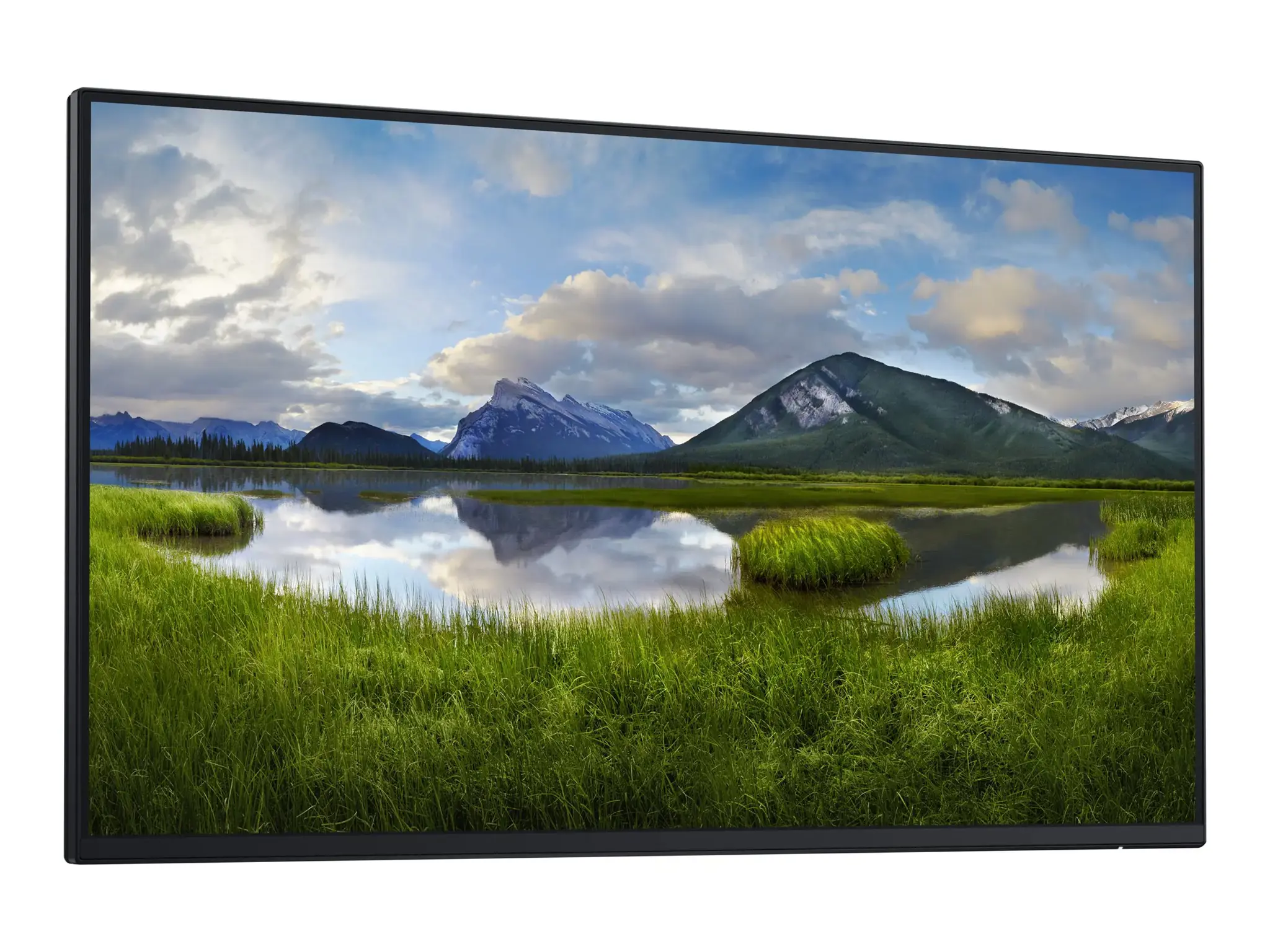 Monitorius DELL P2425H LED  Monitor 24