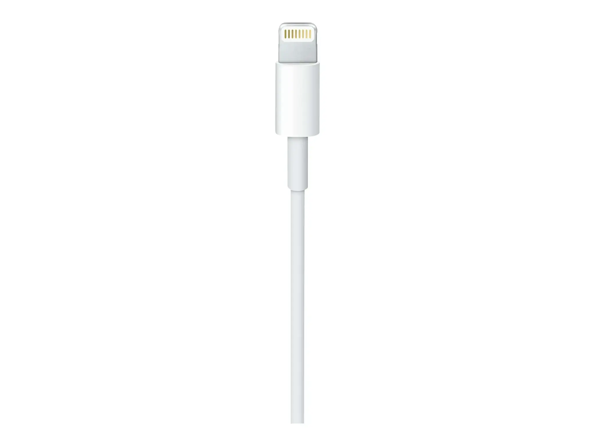 USB-C Į ŽAIBOLAIDĮ (1 M)