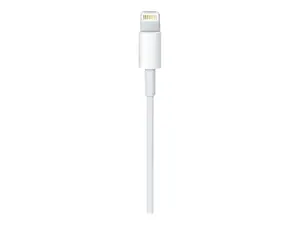 USB-C Į ŽAIBOLAIDĮ (1 M)