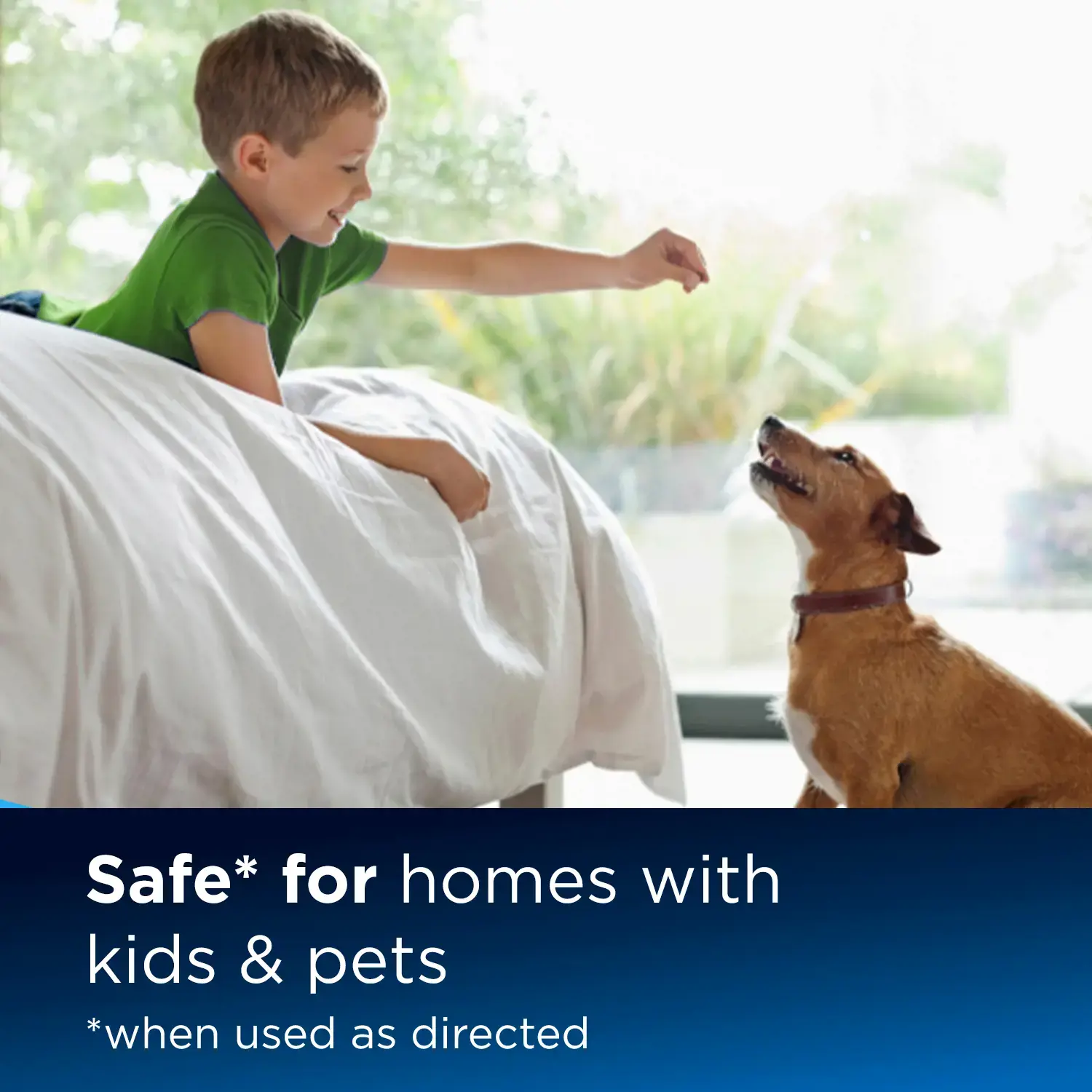 "Bissell Multi Surface Pet Formula" 1000 ml, 1 vnt.