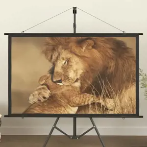 Projektoriaus ekranas, 60", 16:9