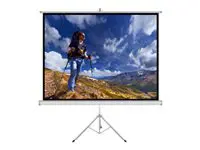 ART ER T84 1:1 ART rankinis ekranas su trikampiu 1:1 118 213x213cm TS-84 1:1