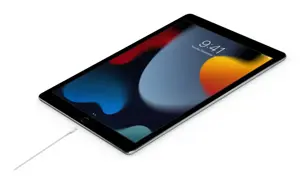 Apple USB-C Male į Lightning Male Kabelis 2m, Balta