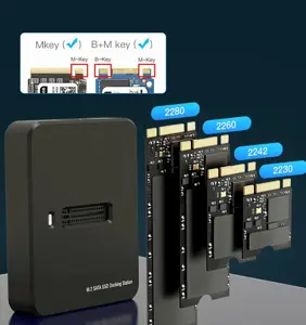 GEMBIRD Stalinio USB Type-C M.2 SATA NVME SSD disko prijungimo stotelė juoda