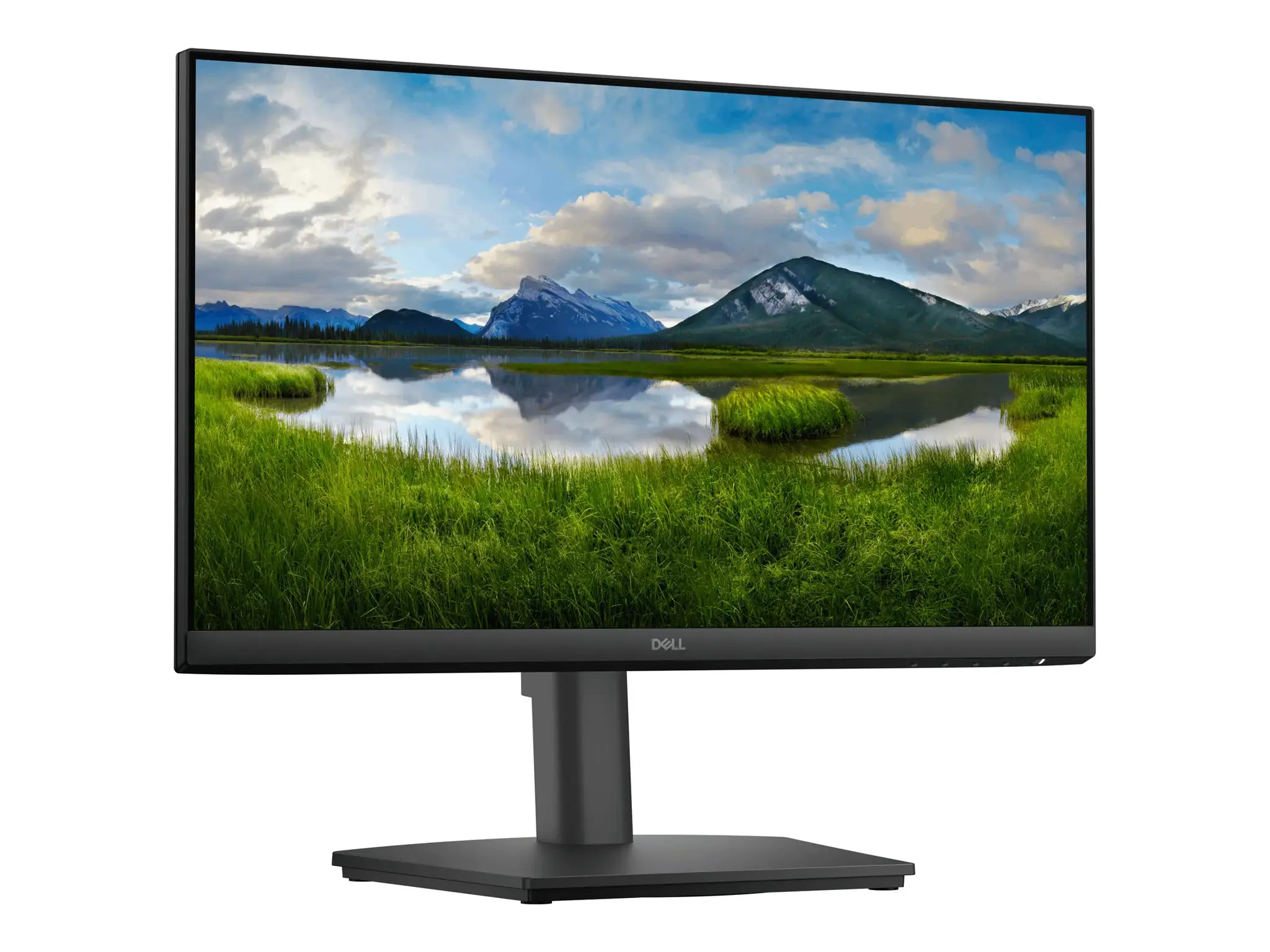 Dell Pro 22 Adjustable Stand Monitor - E2225HSM