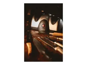 Camry CR 4469 Elektrinis peilių galąstuvas juodas, pilkas