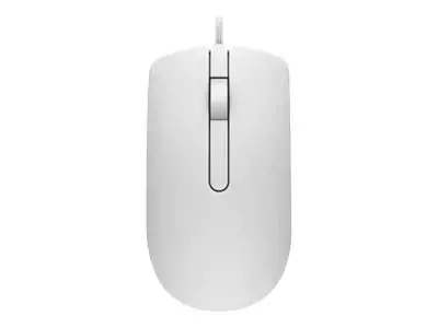 DELL MS116, dvipusis, optinis, USB Type-A, 1000 DPI, baltas