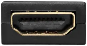 "Goobay" 51719 DisplayPort/HDMI™ adapteris 1.1, paauksuotas