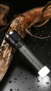 Platininis žibintuvėlis 3W 1200mAh, pilkos spalvos (45772)