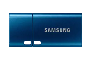 SAMSUNG USB Type-C 64GB 300MB/s USB 3.1 atmintinė