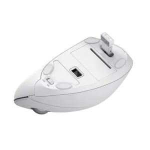 "Trust Verto", dešiniarankis, optinis, RF belaidis, 1600 DPI, baltas