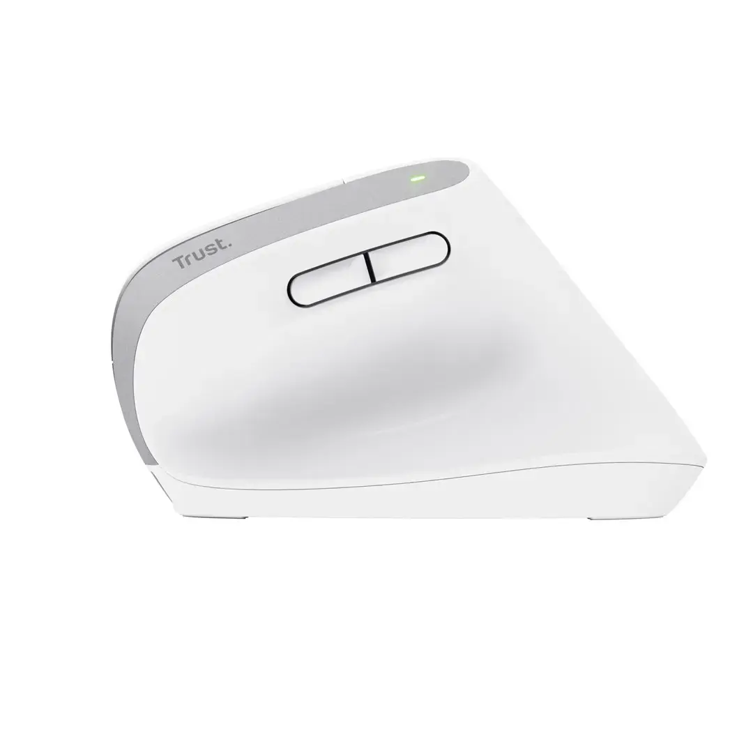 Trust Bayo+, Right-hand, Vertical design, Optical, RF Wireless + Bluetooth, 2400 DPI, White