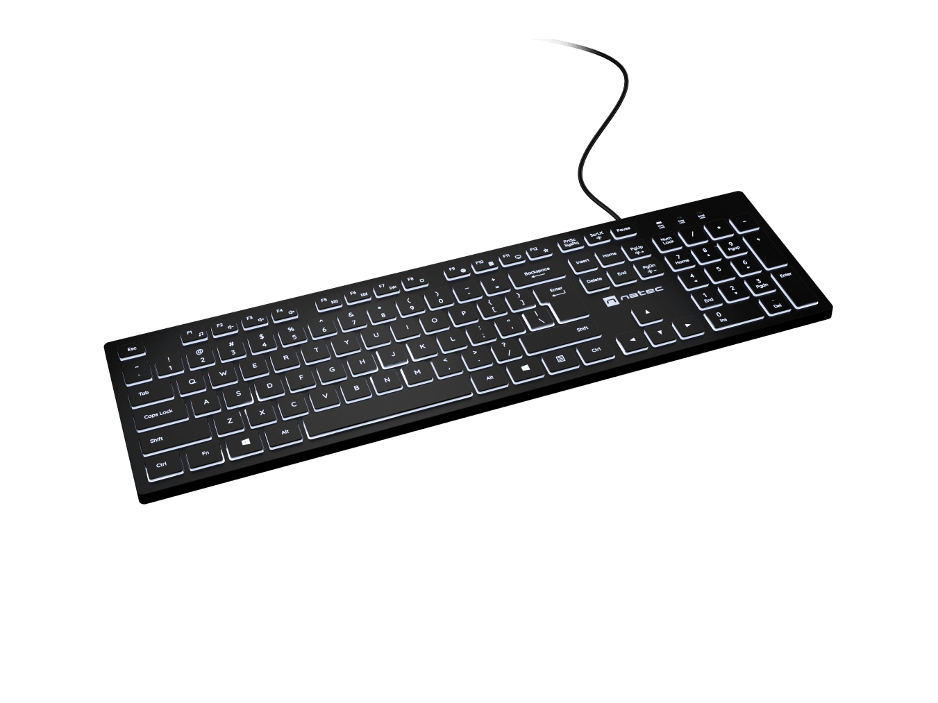 Natec Herring Glow | Keyboard | Wired | US | Black | USB Type-A