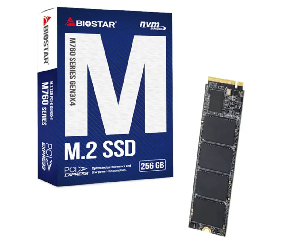 SSD diskas BIOSTAR SA122PME36 256 GB, M.2, PCIe Gen3x4