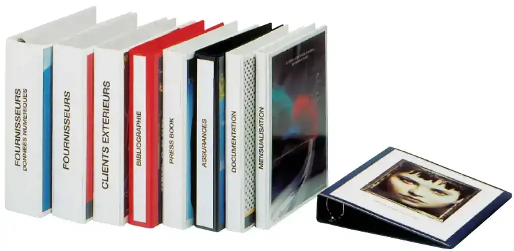 Žiedinis segtuvas su įmaute priekyje ESSELTE, A4, nugarėlė 51 mm, 4 žiedai 30 mm