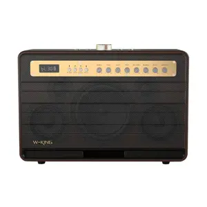 Belaidis garsiakalbis W-KING K6L 120W (rudos spalvos)