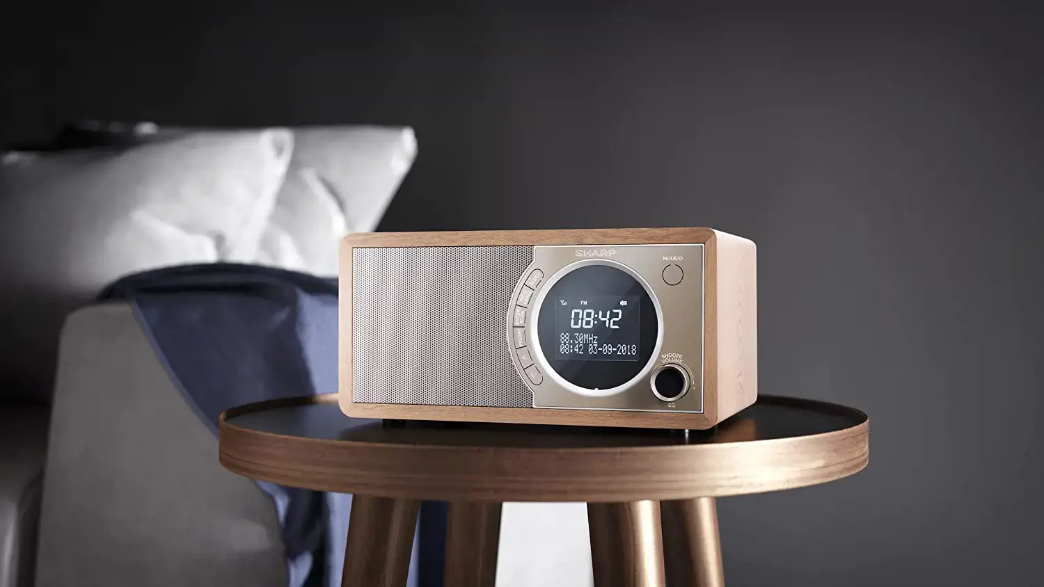 Sharp DR-450, asmeninis, skaitmeninis, DAB, DAB+, FM, 87,5 - 108 MHz, 174,928 - 239,2 MHz, 3 W