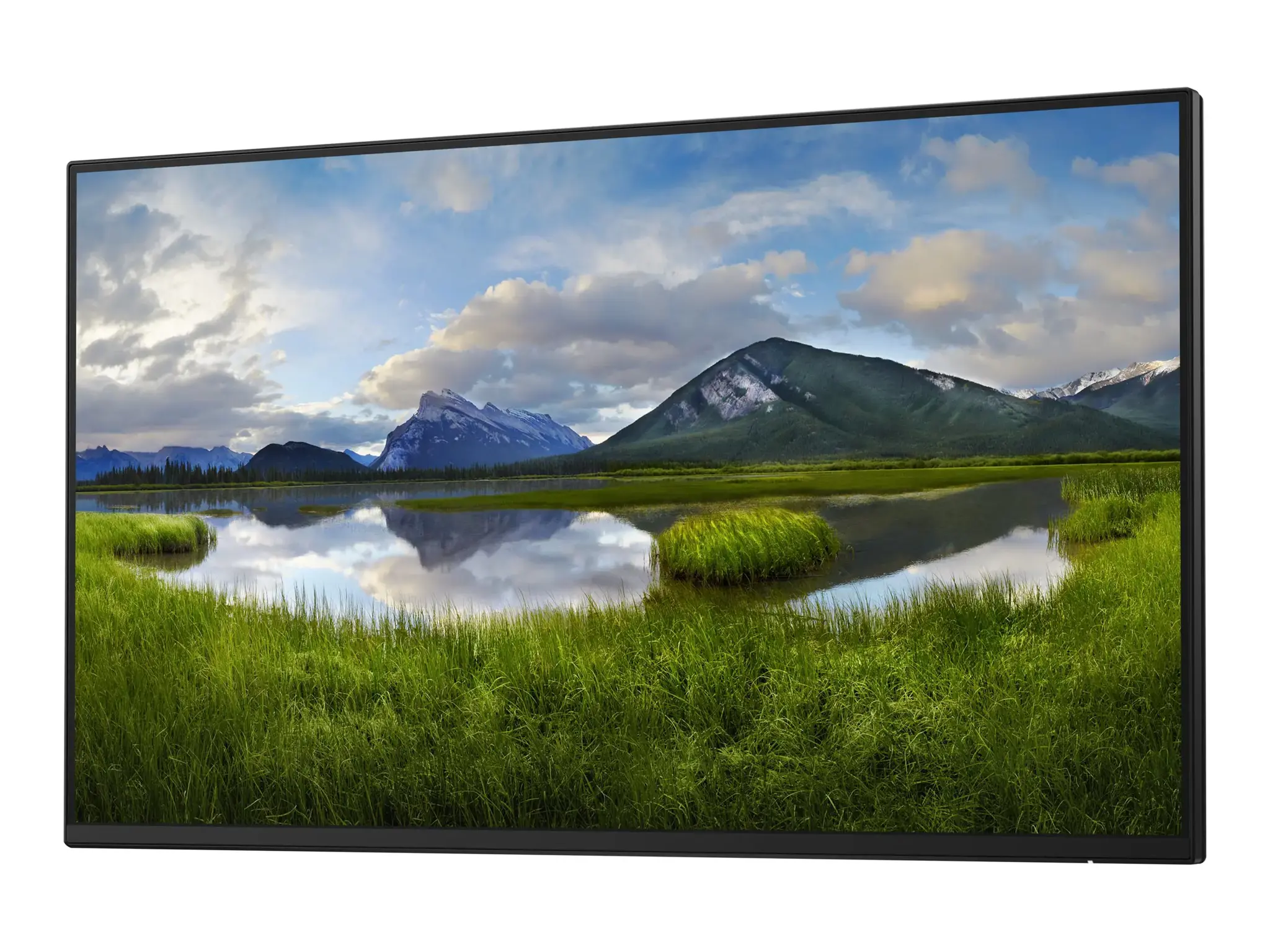 Monitorius DELL P2425H LED  Monitor 24