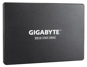 SSD diskas GIGABYTE GP-GSTFS31256GTND 256 GB, 2.5", Serial ATA III