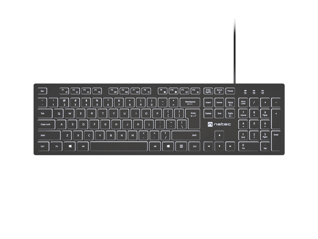 Natec Herring Glow | Keyboard | Wired | US | Black | USB Type-A