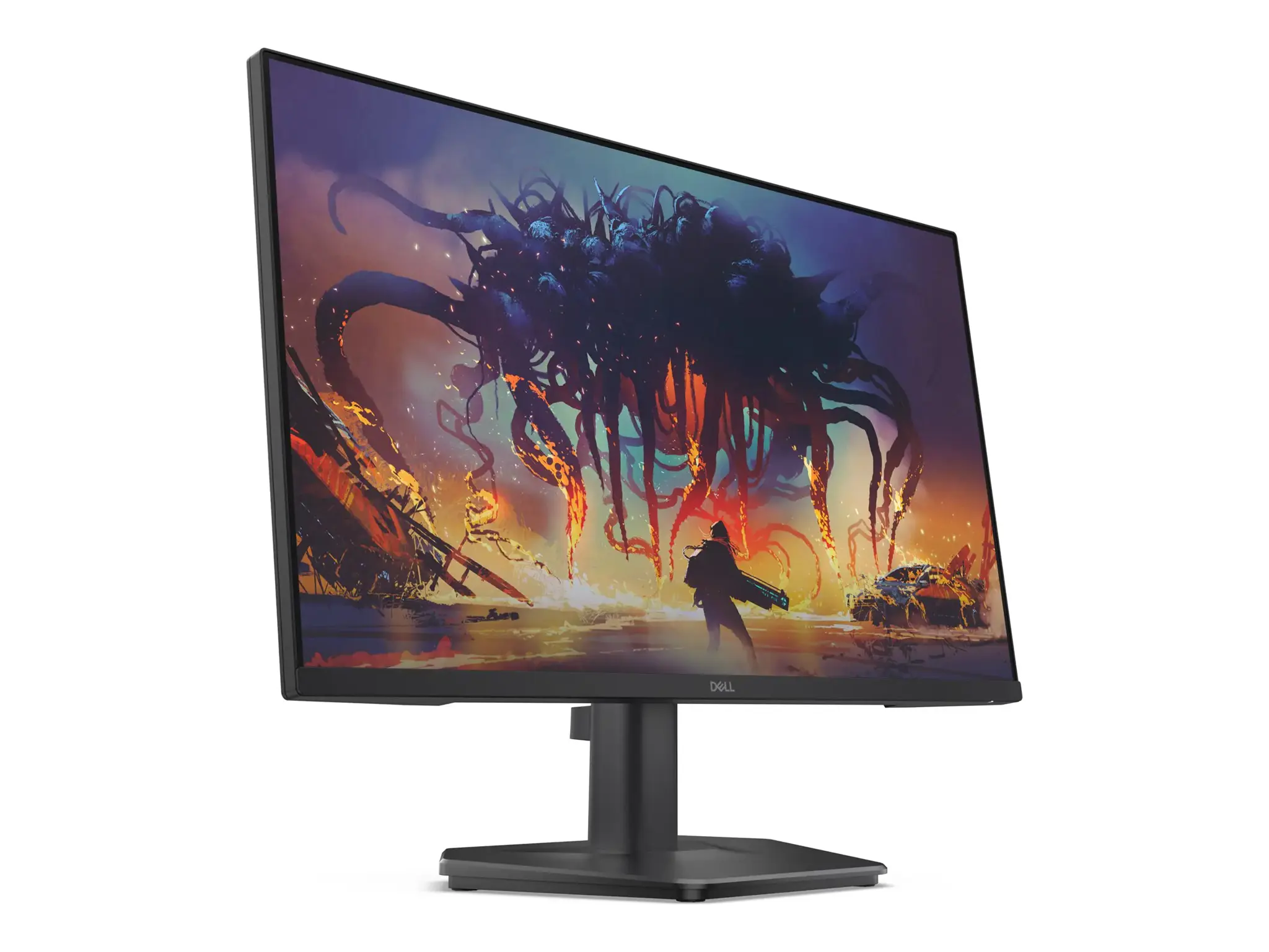 Dell 24 200Hz Monitor - SE2425HG