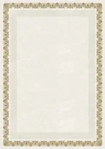 Dipl.popierius 170g Arkady Z
