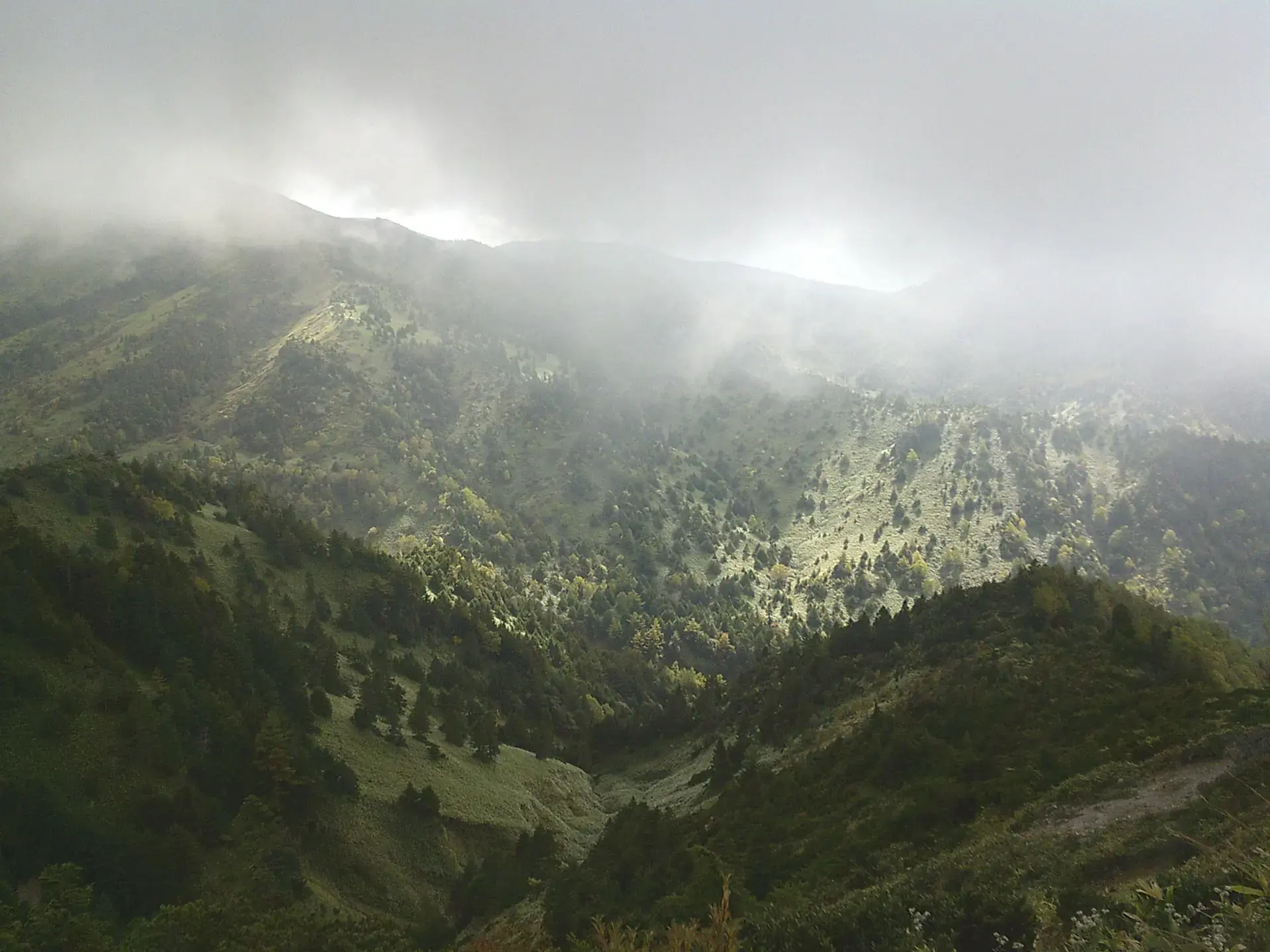 Kenko KC-AF11, green