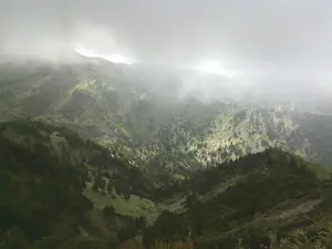 Kenko KC-AF11, green